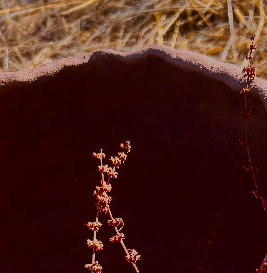 I create in nature, immersed in the ispiration that surround me.